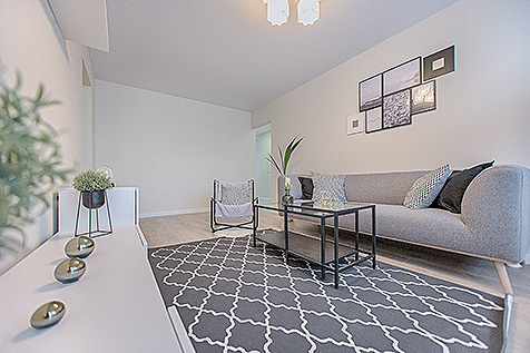 Jean Raimon Immobilier